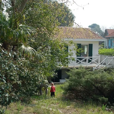 Surprise Arcachon