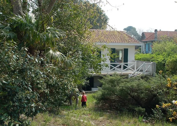 Surprise 아르카숑